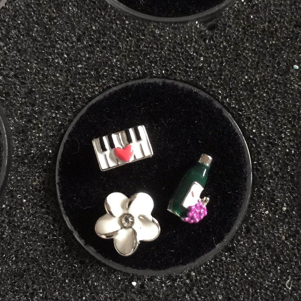 Origami Owl Living Locket Floating Charms Set of 3 Piano Flower Wine Bottle 🎹